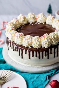 Gâteau chocolat et à la menthe : frais et gourmand