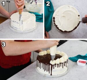 Peppermint Bark Cake Collage 4