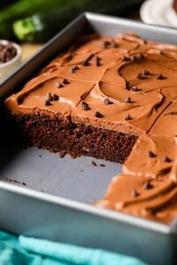 Chocolate Zucchini Cake 9 of 9